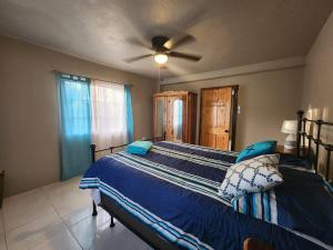 Portland Jamaica! Green and Lush! Volcano and Falls Yes!