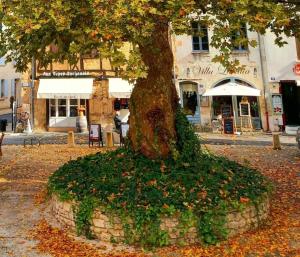 Maisons de vacances At Home in Bergerac : photos des chambres