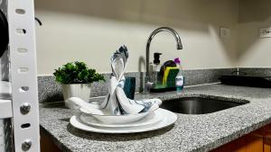 Manhattan Plaza Tower 1 Unit 10E Condotel BnB