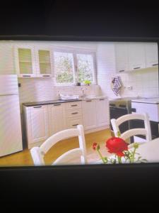 Low budget Apartment in Rijeka