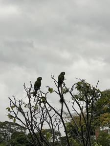 201 studio apartment in El Peñon