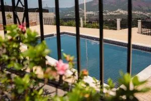 Quinta do Pereiro de Cima - Oliveira