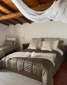 Radici - La finestra sui Sassi