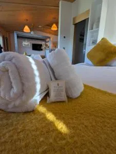 Modern Eco-Lodges and Shepherds Hut near Findhorn Beach - 芬德霍恩