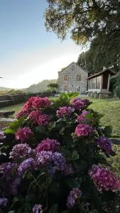 Casa da Mena - Casa de Campo no Caramulo - Caramulo