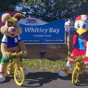 87 Elm walk - Seaton Delaval