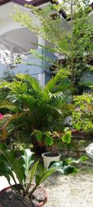 Marquis gardenland and guest house