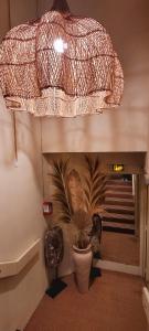 Hotels Hotel Tennis International : photos des chambres