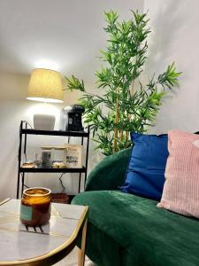Appartements Studio Fronton, coeur de vignes et parking : photos des chambres