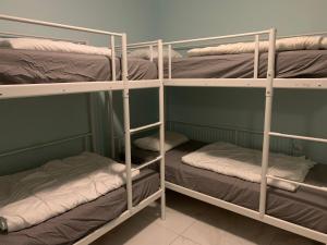 Bunk Bed in Male Dormitory Room  room in Hostel Bed & Breakfast