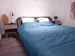 Maison charmante clim et balcon en centre ville