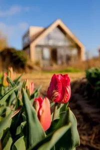 Ecohome Zilt - 8 pers - Zeezand Recreatie - 't Zand