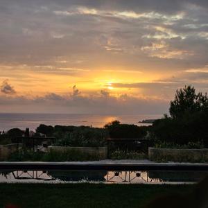 B&B / Chambres d'hotes Les Cactus Bleus : Chambre Lit Queen-Size - Vue sur Mer