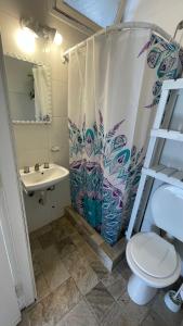 El Monoambiente de la Colo