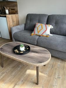 Coco studio 2 adultes et 2 enfants avec terrasse vue sur le Lac et accès parc aquatique gratuit