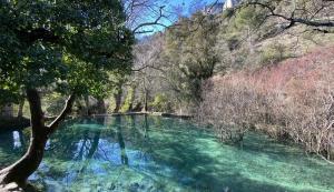 Appartements Arceau de Saint Martin : photos des chambres