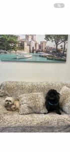 Sirmionerooms Luxury Apartment