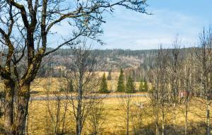 Nice Home In Årjäng With Wifi