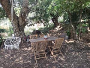 Appartements Villa Erbella with sea view from balcony and lovely garden : photos des chambres