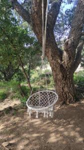 Appartements Villa Erbella with sea view from balcony and lovely garden : photos des chambres