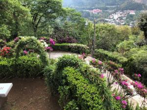 Amplia y bonita casa familiar en medio de la naturaleza descanso vistas e internet
