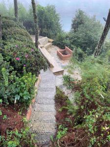 Amplia y bonita casa familiar en medio de la naturaleza descanso vistas e internet