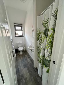 1st Floor Flat in Mews