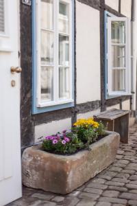 Malerisches Haus in schönster Straße der Altstadt