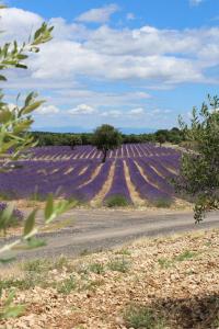 Appartements Arceau de Saint Martin : photos des chambres