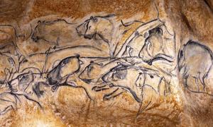 Appartements Arceau de Saint Martin : photos des chambres