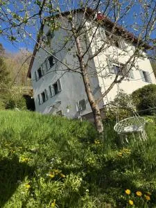 Adlerhorst4 - Böttstein