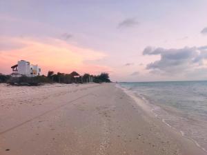Estudio Independiente, Tres Flamencos