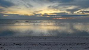 Estudio Independiente, Tres Flamencos