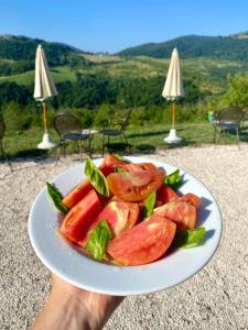 Agriturismo Colle Mura