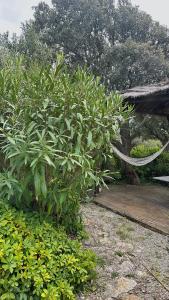 Appartements Chambre cosy a 5 min de la plage : photos des chambres