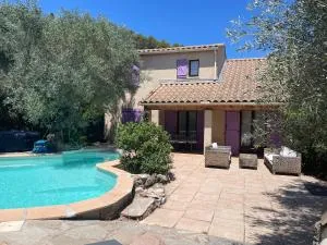 PROVENCALe VILLA WITH POOL AND HOT TUB IN VAR - Les Aiguiers