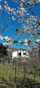 Appartamento Panoramico