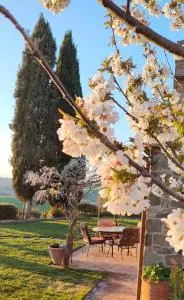 PassionToscane - 圣焦万尼达索