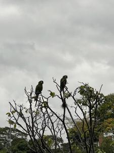 301 studio apartment in El Peñon
