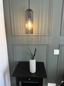 Les Oliviers - Centre ville de Saumur