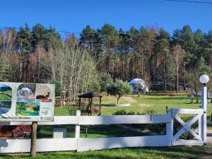 Glamping pod Orłem