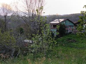 Apartamentos El Puntual