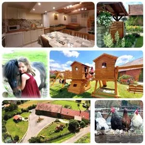 Gościnna Zagroda Gościejowice Noclegi Apartamenty Agroturystyka Niemodlin - Tamice