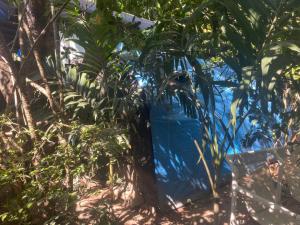 Punta Roca Surf House