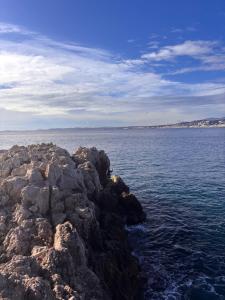 Appartements Les Constellations - Beaulieu-sur-Mer : photos des chambres