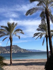 Appartements Les Constellations - Beaulieu-sur-Mer : photos des chambres