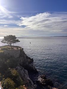 Appartements Les Constellations - Beaulieu-sur-Mer : photos des chambres