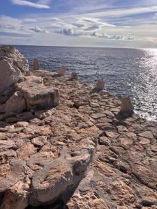 Appartements Les Constellations - Beaulieu-sur-Mer : photos des chambres