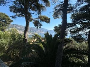 Appartements Les Constellations - Beaulieu-sur-Mer : photos des chambres