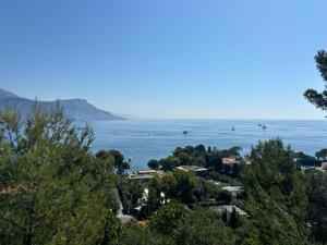 Appartements Les Constellations - Beaulieu-sur-Mer : photos des chambres